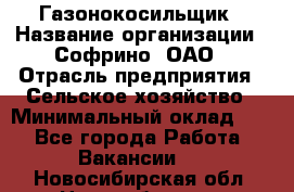 Газонокосильщик › Название организации ­ Софрино, ОАО › Отрасль предприятия ­ Сельское хозяйство › Минимальный оклад ­ 1 - Все города Работа » Вакансии   . Новосибирская обл.,Новосибирск г.